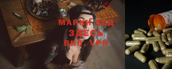 шишки Володарск