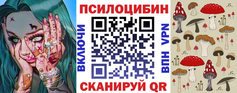 Галлюциногенные грибы Psilocybe  Купить  Кологрив 