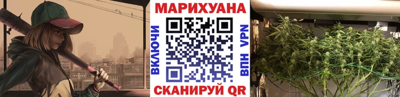 Марихуана сатива  Купить где  Кологрив 